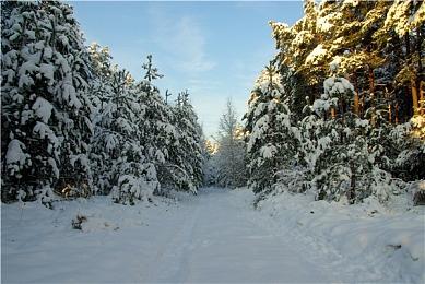 《梦境》工作室联合创始人Mark Healey即将离开